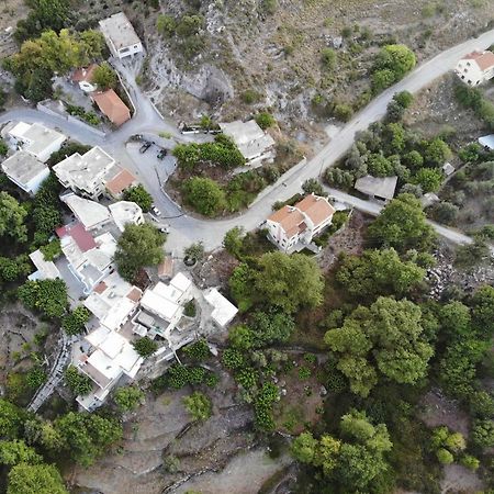 Villa Athina'S House Alonai Exterior foto